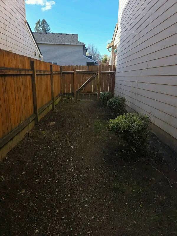 Side Yard Cleanup after